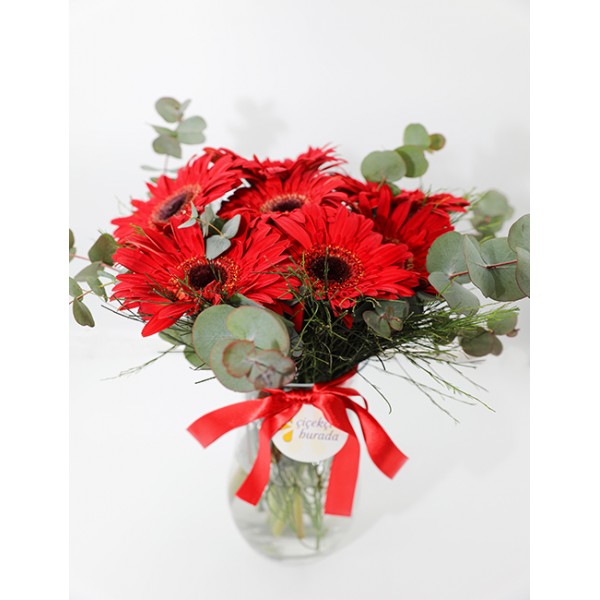 Love You Kırmızı Gerbera